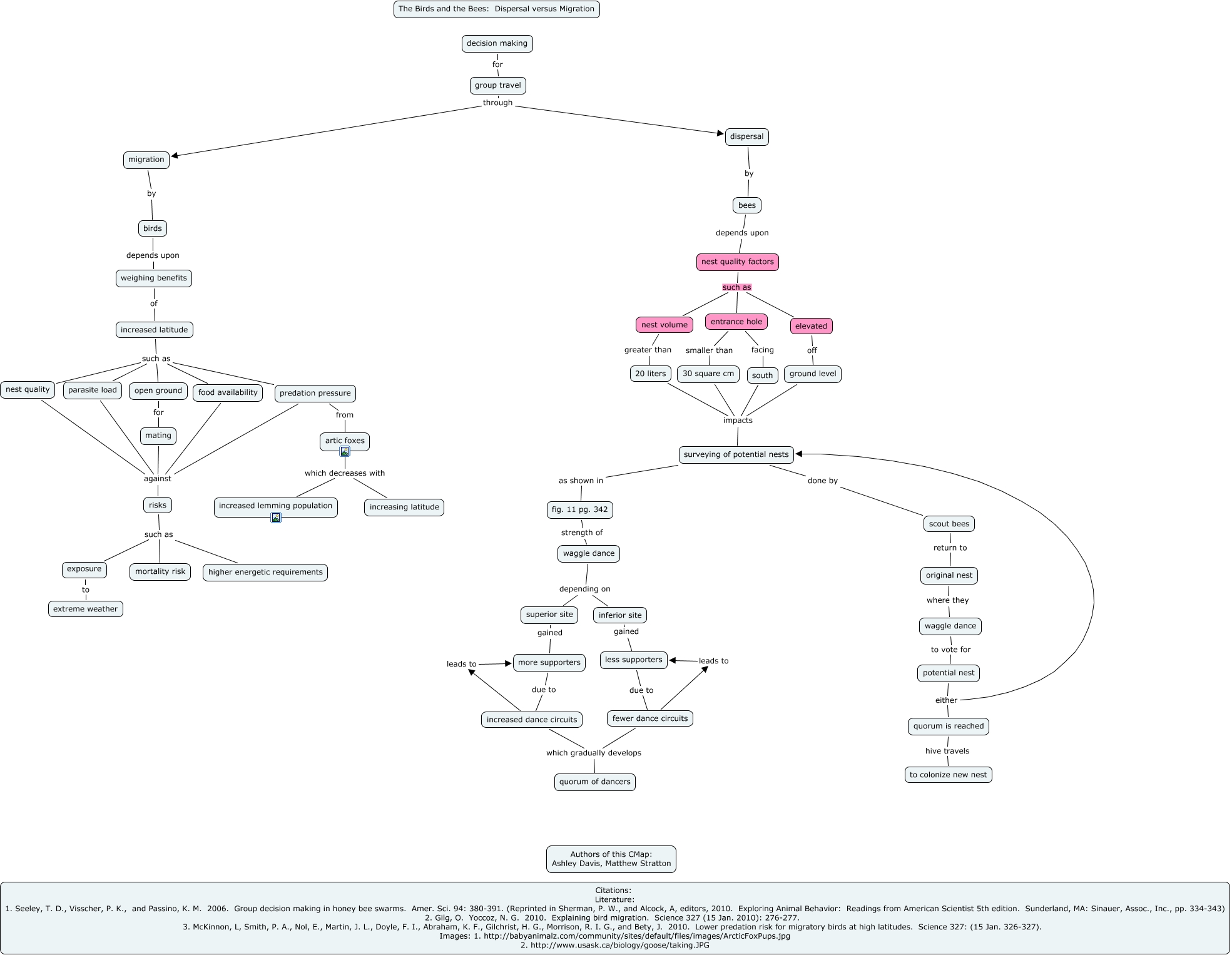 ms-ashdav-why-do-animals-move